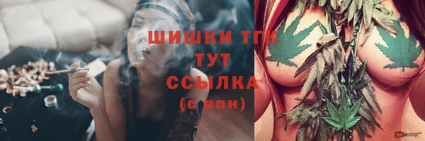 сатива Арсеньев