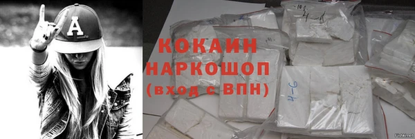 сатива Арсеньев