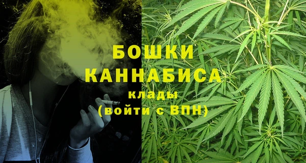 сатива Арсеньев