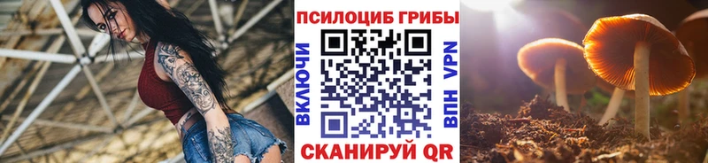 Псилоцибиновые грибы прущие грибы  Дорогобуж 